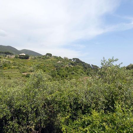 Villa Caribe Affittacamere Μοντερόσο αλ Μάρε Εξωτερικό φωτογραφία
