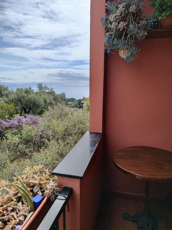 Villa Caribe Affittacamere Μοντερόσο αλ Μάρε Εξωτερικό φωτογραφία
