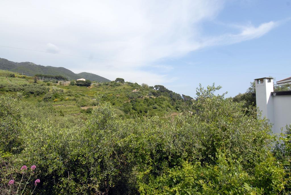Villa Caribe Affittacamere Μοντερόσο αλ Μάρε Εξωτερικό φωτογραφία